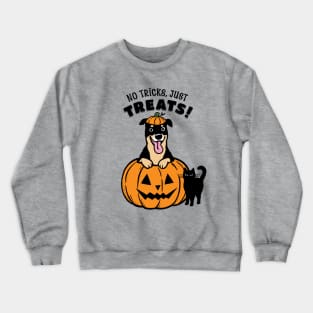 Rottweiler Halloween No Tricks Just Treats Crewneck Sweatshirt